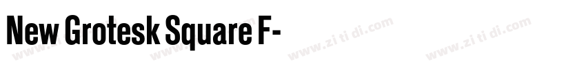 New Grotesk Square F字体转换 New Grotesk Square F字体转换